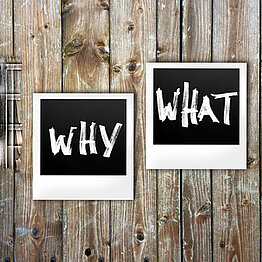Auf zwei Polaroidfotos steht jeweils "Why" und "What".